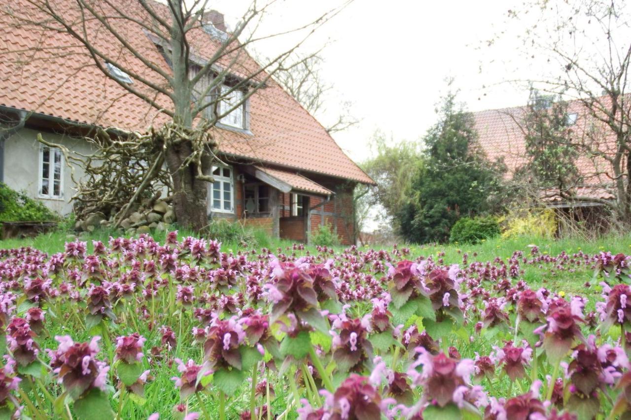 Ferienhof Rauchhaus Karft Extérieur photo